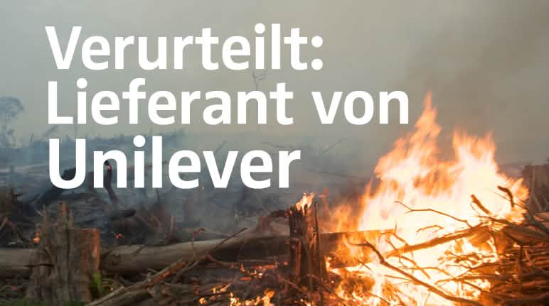 Nach indonesischen Recherchen gehört die Palmölfirma RKK zur Makin Group, die auch den Konsumgüterhersteller Unilever beliefert. Feuer und Rodung für Palmöl