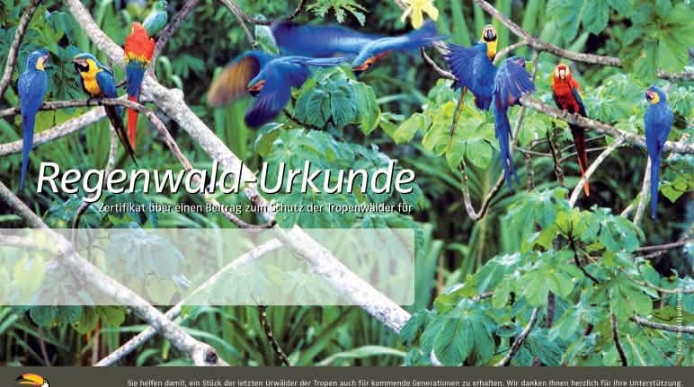 Ein Dankeschön für Ihre Spende: die neue Urkunde ist da Eine Gruppe Papageien im Wald