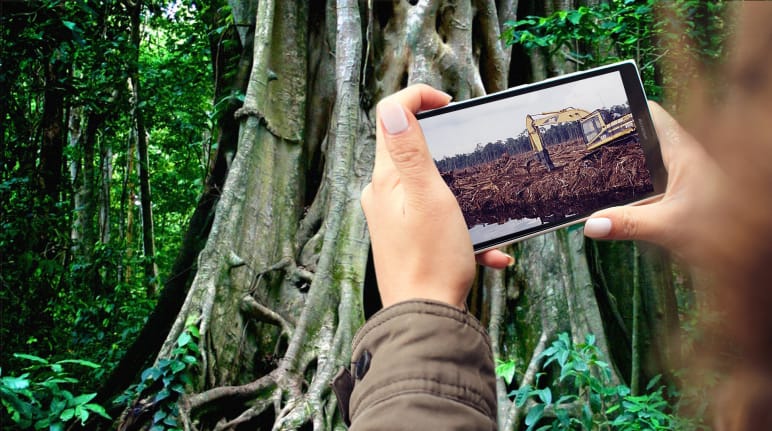 Die Rohstoff-Förderung für Smartphones vernichtet Regenwälder und gefährdet Menschen... Rohstoffe im Smartphone