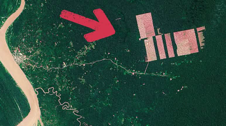 So sehen die östlich des Amazonas (links) in den Regenwald geschlagenen Kakaoplantagen aus dem Weltall aus Peru Abholzung Tamshiaycu