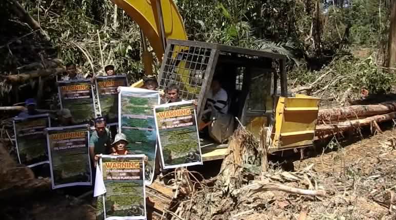 Einwohner protestieren gegen Regenwaldrodung für Palmölplantagen in Sarawak, Malaysia Rodung für Palmöl-Plantage in Sarawak, Malaysia