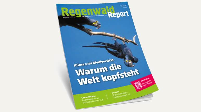 Regenwald Report Nr. 3/2021 - jetzt bestellen. 3D-Ansicht des Covers vom Regenwald Report 3/21