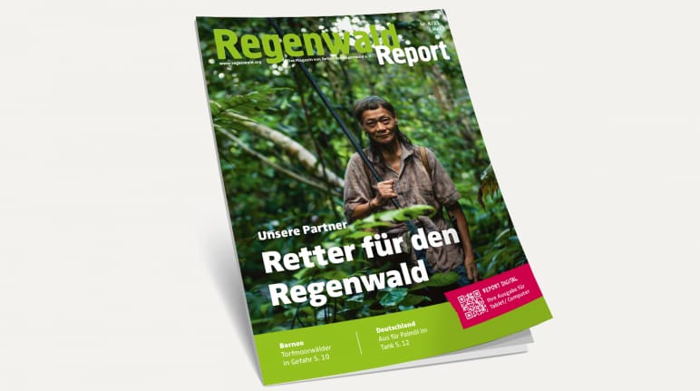 3D-Ansicht des Covers vom Regenwald Report 4/21