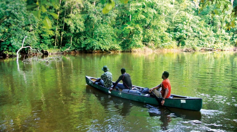 Fluss im Sapo-Nationalpark