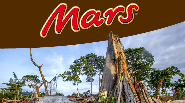 Täglich wird Regenwald zerstört - für unsere Schokolade Montage: Rodung von Regenwald + Mars Logo