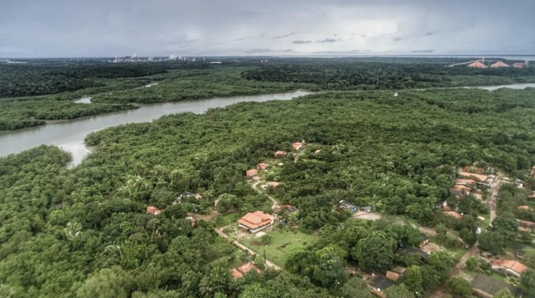 Luftaufnahme von Häusern zwischen Bäumen und dahinter ein Fluss mit Mangrovenwald an den Ufern