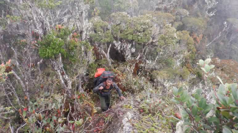 Der Weg der Ranger-Teams führt von den Sümpfen durch Regenwald bis in zerklüftete Bergregionen Ranger mit Rücksack in unwegsamem Gelände