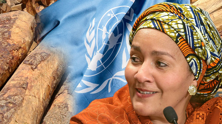 Amina J. Mohammed und der Palisander Raubbau