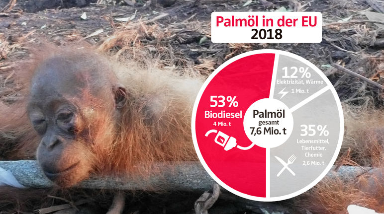Collage - Palmölverwendung EU 2018 mit Gefesseltes Orang-Utan-Baby - DE