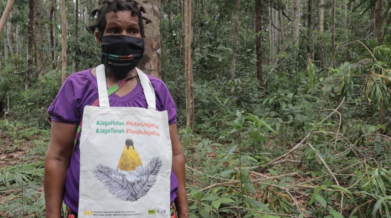 Protest in Papua: Schütze den Wald - der Wald schützt uns