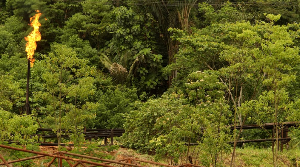 Symbolbild: Auch in Amazonien werden Erdöl gefördert und Erdgas abgefackelt Gasfackeln im Amazonasregenwald in Ecuador