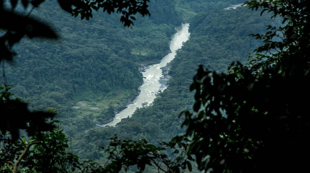 Blick auf einen im Tal gelegenen Flusslauf im Regenwald
