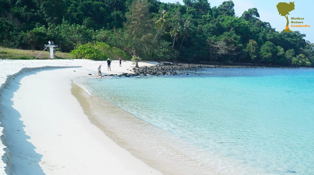 Grüner Regenwald, weißer Strand und türkisfarbenes Meer