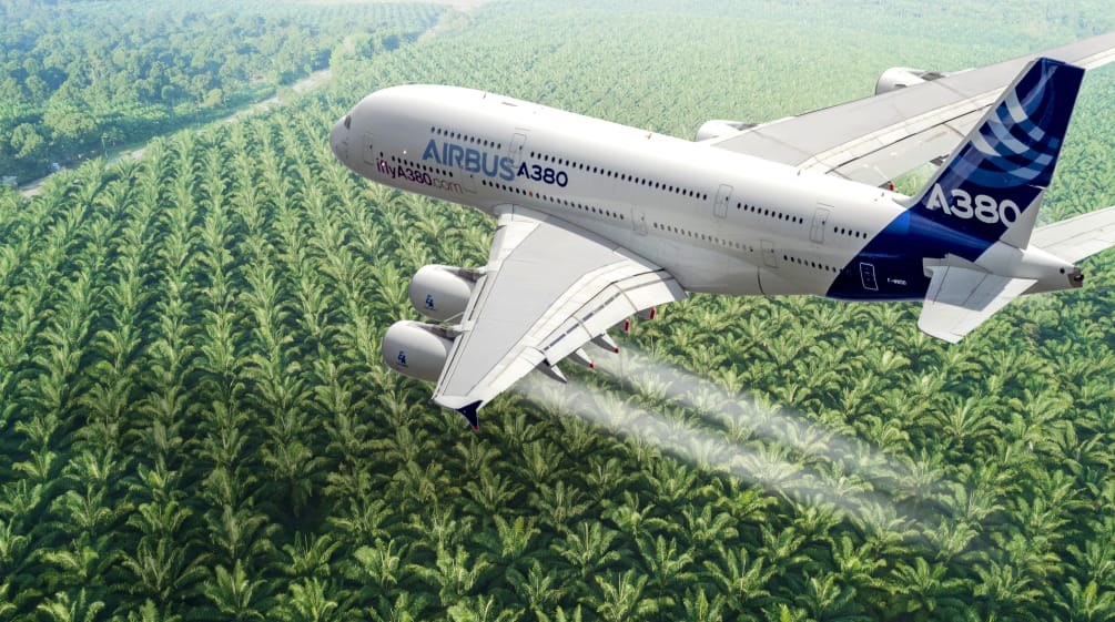 Collage: Airbus Flugzeug über Palmöl Plantage