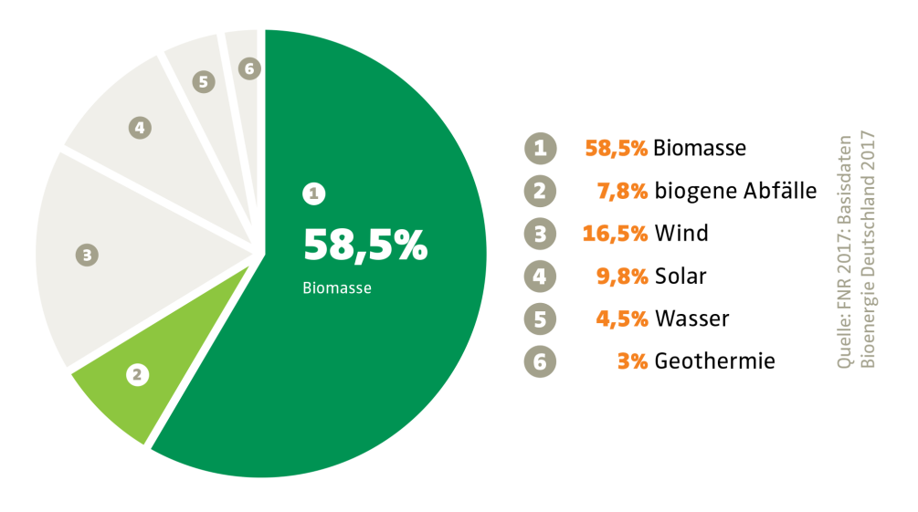 Anteil der Bioenergie bei den erneuerbaren Energien in der EU (2016)