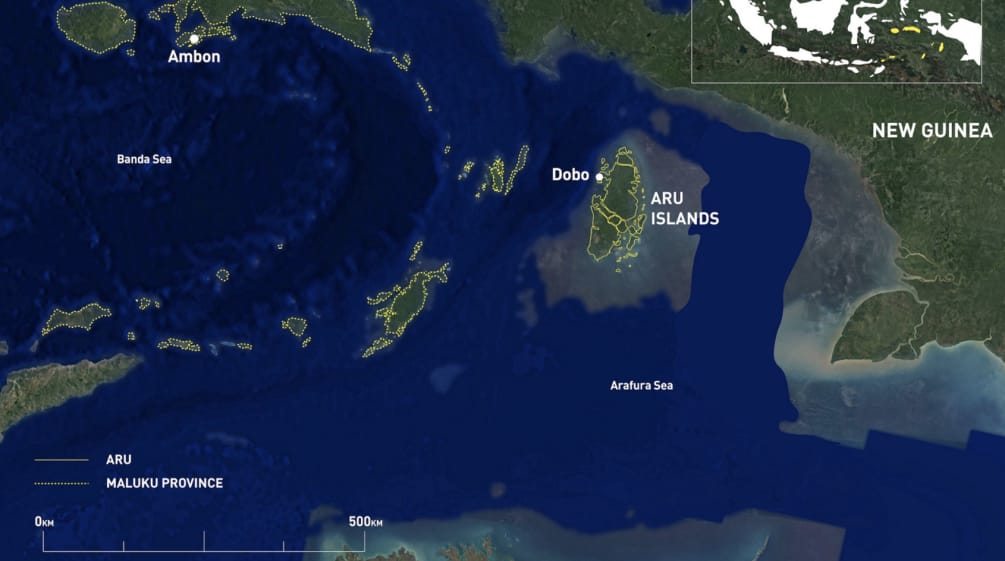 Karte Neuguinea - Aru-Inseln - Australien von N nach S