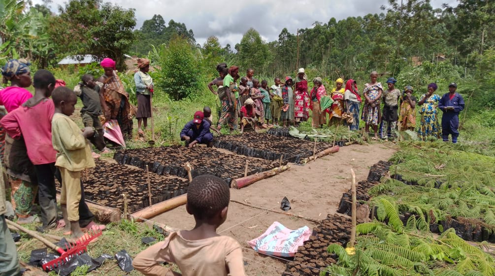 Dorfbewohner ziehen Setzlinge in einer Baumschule und pflanzen sie aus.