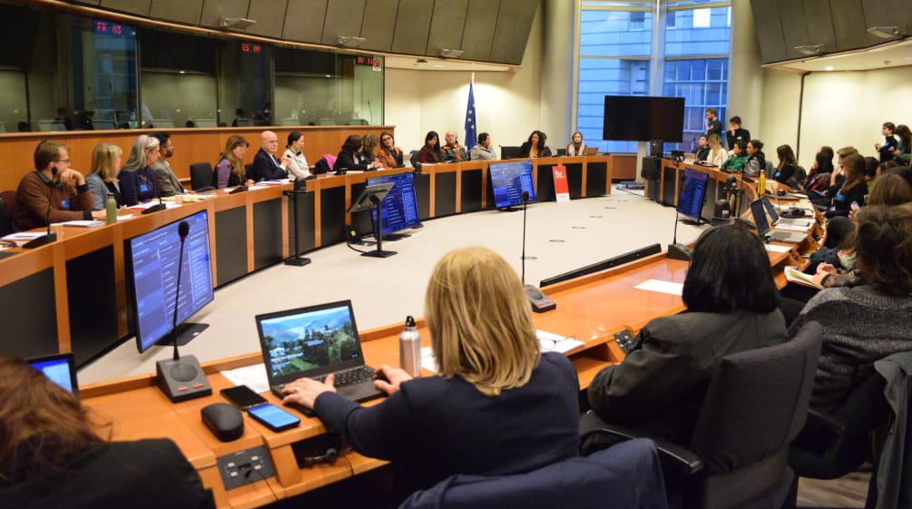 Die Umweltschützer:innen und Zuhörer:innen im Sitzungssaal der EU mit Oval von zwei Reihen gegenüber liegenden Konferenztischen