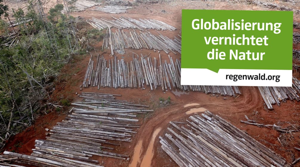 Neuer Aufkleber - jetzt in unserem Shop erhältlich Collage - Aufkleber Globalierung & Abholzung Papua