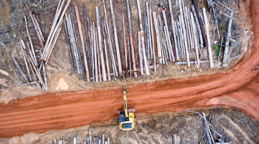 Luftbild: Bagger auf Rodung für Palmölplantage der Firma Korindo in Papua