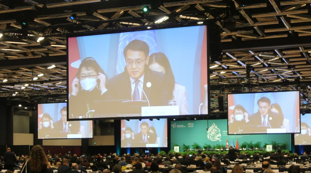 Plenar-Sitzung während der COP15