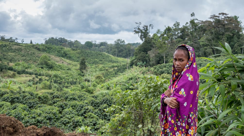 Im Dezember 2017 wurden der Ehemann und der Vater von Mirivic Tarsila Danyan von der Armee getötet, weil sie das Land der Gemeinde gegen die Ausweitung der Kaffeeplantagen auf den Philippinen verteidigten. (© Thom Pierce/Guardian/Global Witness/UN Umwelt) Umhüllt von einen Tuch steht Mirivic 'Tarsila' Danyan auf einer Rodung im Regenwald auf den Philippinen