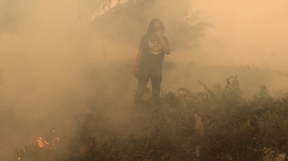 Feuer vernichtet Wälder, Rauch verklebt die Lungen Brände beim Dorf Puding, Distrikt Muaro Jambi, Sumatra, September 2019