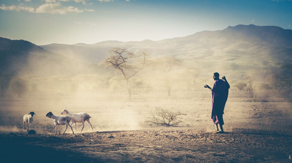 Hirten vom Volk der Massai leiden seit Jahrzehnten unter Gewalt Viehhirte in Tansania, Massai