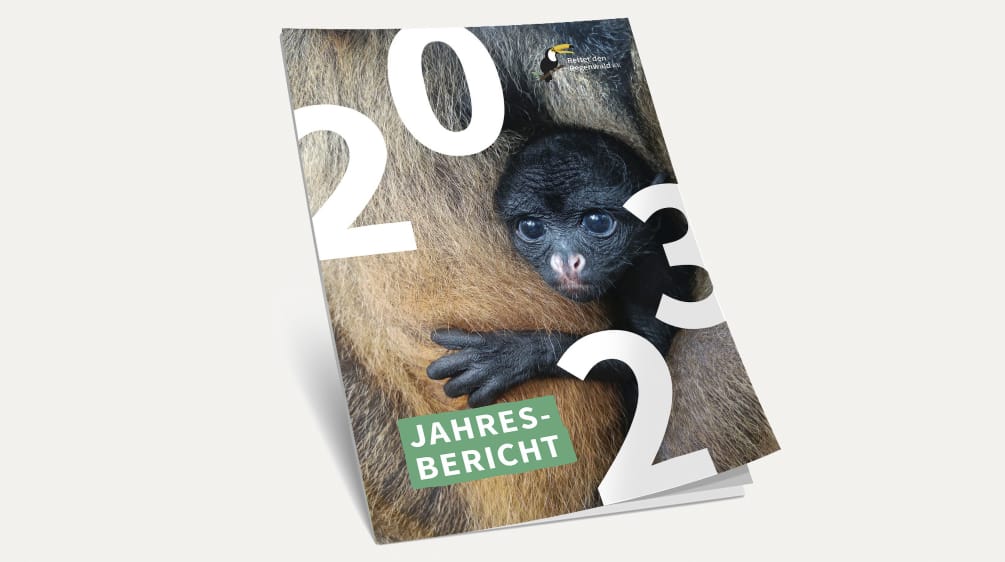 3D-Ansicht des Covers vom Jahresbericht 2023