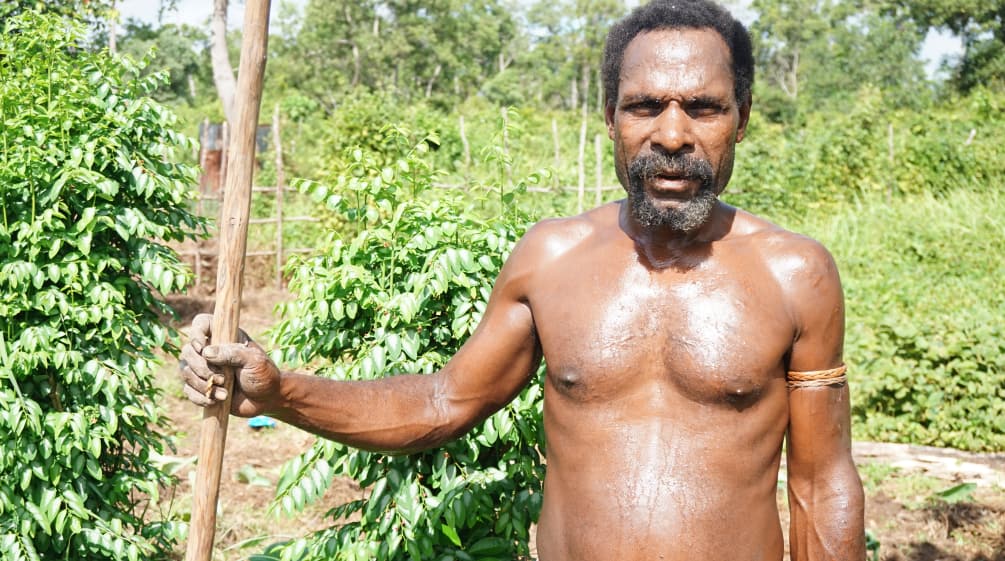Die Indigenen in Papua verteidigen ihren Wald gegen den Papierkonzern Moorim Papua vom Gebze-Clan aus Merauke - Konflikt mit Papierkonzern Moorim