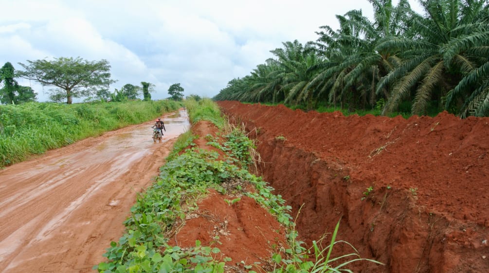 Graben um die Palmölplantage von Okomu Oil Palm in Nigeria