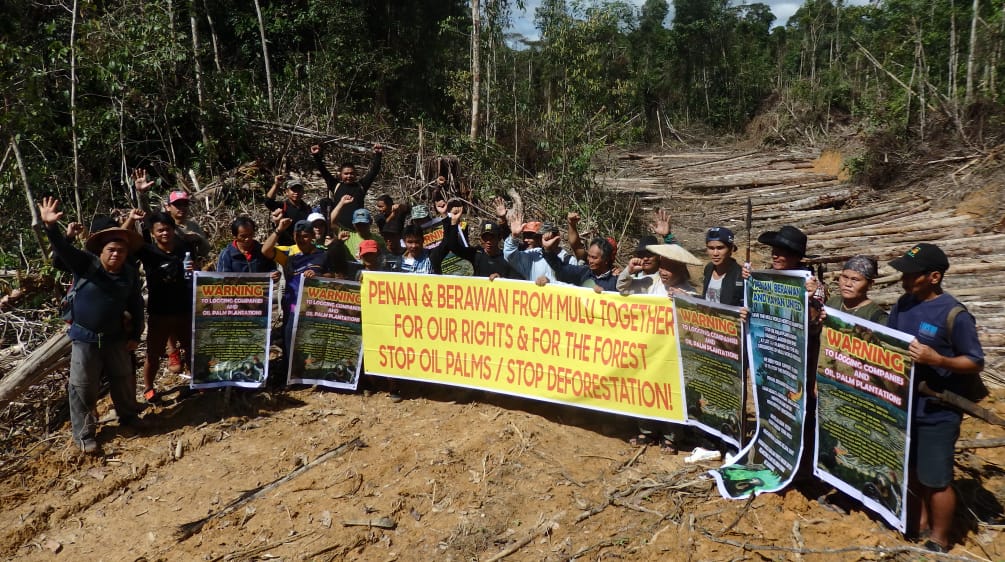 Der Widerstand der örtlichen Bevölkerung hatte Erfolg Indigene Penan und Berawan protestieren gegen die Rodung des Mulu-Waldes, Sarawak, Malaysia