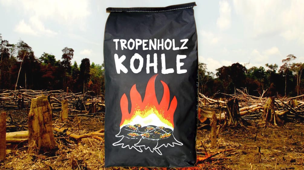 250.000 Tonnen Holzkohle verbrennen pro Jahr auf deutschen Grills – ein Großteil stammt aus Raubbbau in den Tropen und Osteuropa Collage aus Beutel mit Holzkohle auf abgebranntem Regenwald