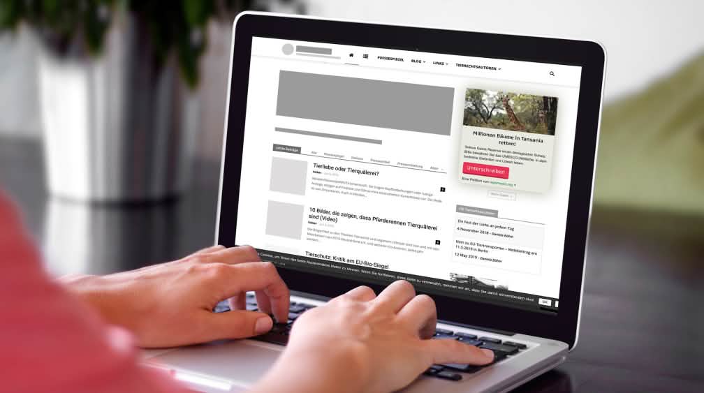 Petitionen auf der eigenen Webseite einbinden Computerbildschirm mit einer Beispielwebseite für die Einbindung des Petitions-Widgets