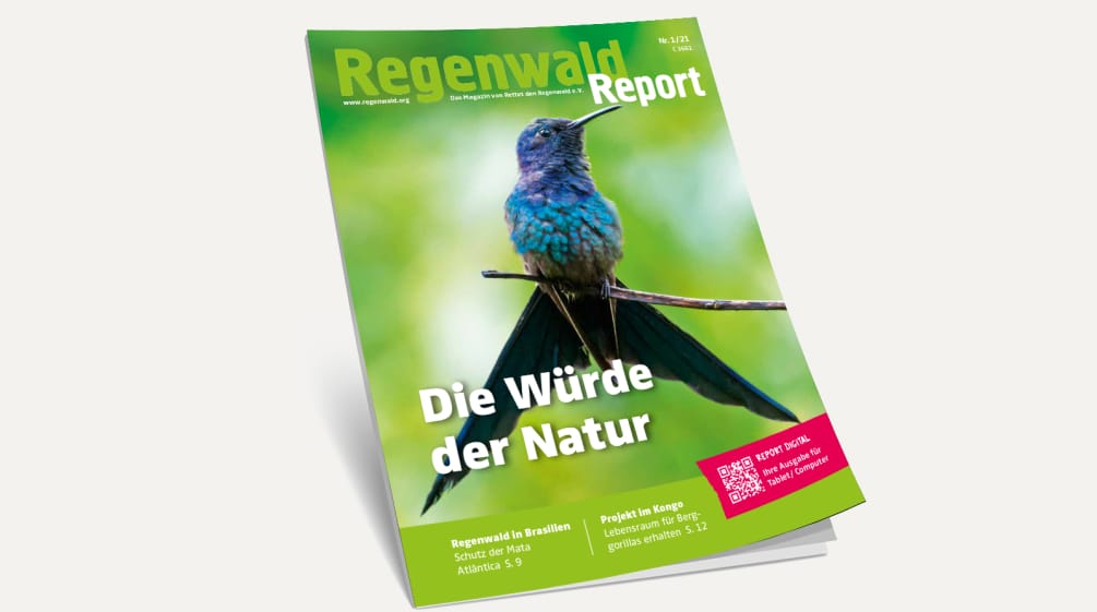 Ende März erschienen: Der neue "Regenwald Report" ist jetzt verfügbar. 3D-Ansicht des Covers vom Regenwald Report 1/21