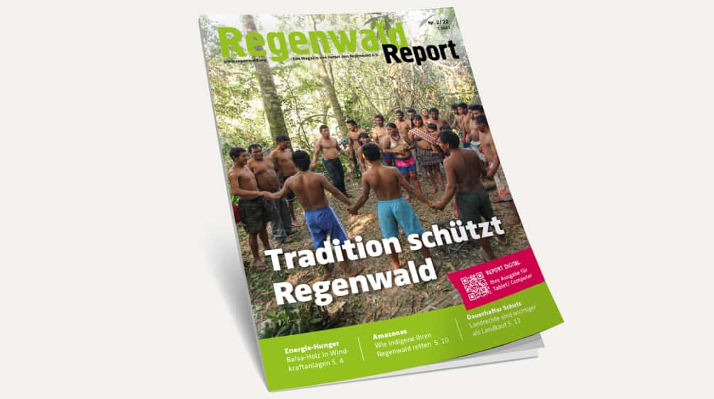 3D-Ansicht des Covers vom Regenwald Report 2/22