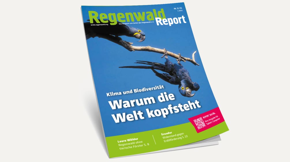 Regenwald Report Nr. 3/2021 - jetzt bestellen. 3D-Ansicht des Covers vom Regenwald Report 3/21
