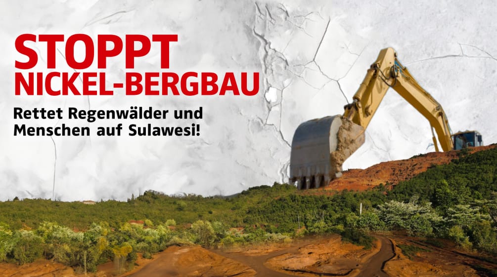 Fotocollage Bagger, Mine, Waldschäden