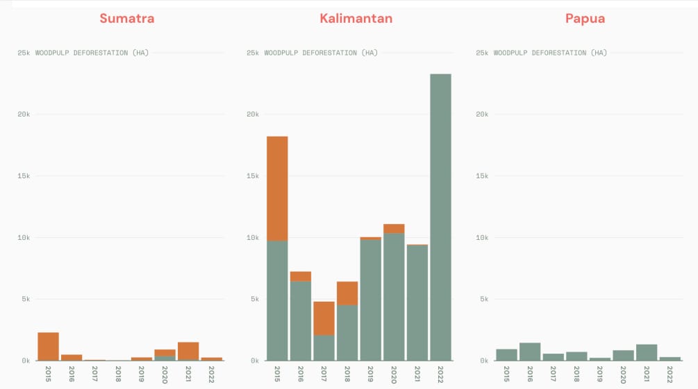 Diagramm der Konzessionen der Zellstoffindustrie auf Sumatra, Kalimantan, Papua