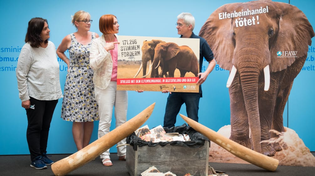 Übergabe der Petition gegen Elfenbein im Bundesumweltministerium