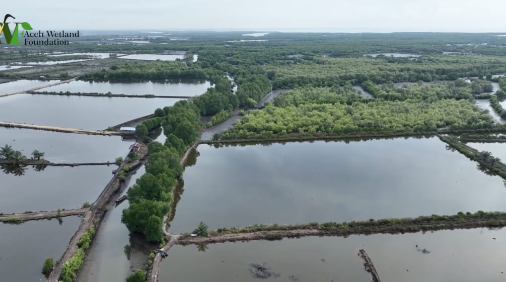 Fischteiche im ehemaligen Mangrovenwald