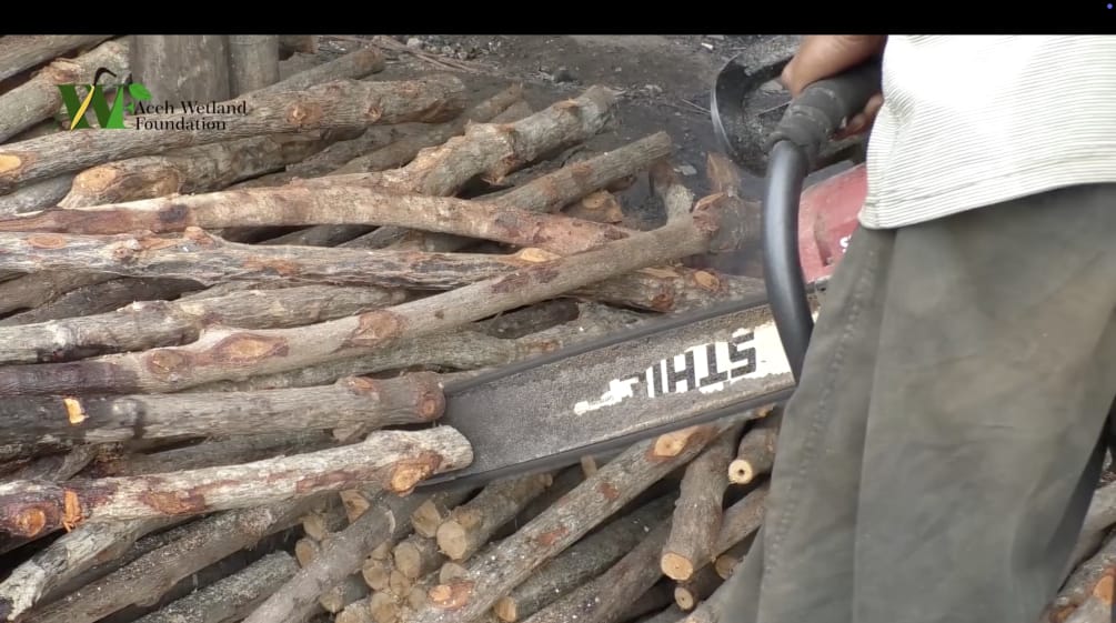 Stihl-Kettensäge zerschneidet Mangrovenwurzeln