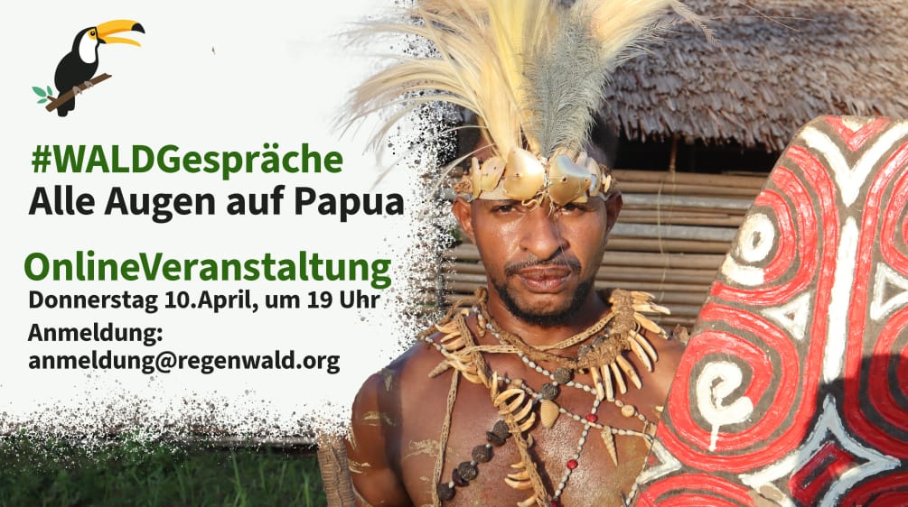 #WALDGespräche: Indigene schützen die intakten Regenwälder in Papua (Indonesien) WaldGespräche Papua