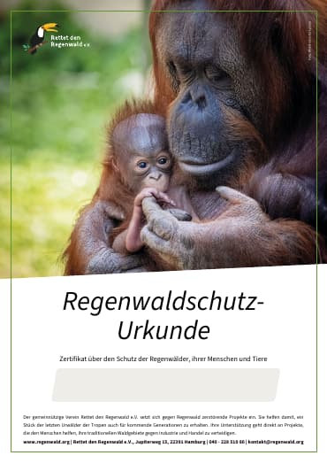 Orang-Utan-Mutter-Kind