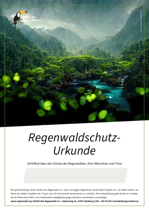 Spenden Sie für den Schutz der Regenwälder Rettet den Regenwald e.V.