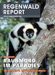Cover Regenwald Report 01/2010