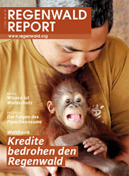 Cover Regenwald Report 04/2010