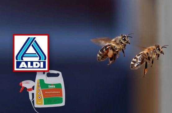 Über einem Insektenspray prangt das Logo von Aldi. Zwei ins Bild montierte Bienen scheinen davonzufliegen