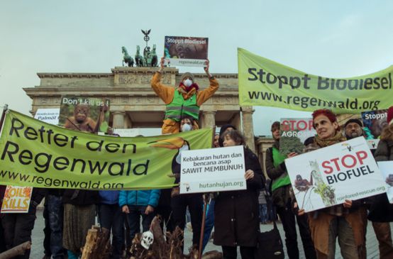 Demo Indonesien Rettet den Regenwald Berlin Brandenburger Tor