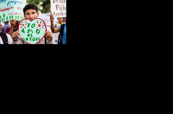 Ein Demonstrant in Iquitos, Peru, zeigt ein Herzplakat "Ich liebe den Wald" auf Demo gegen Abholzung für Kakaoplantagen
